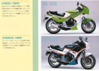 Scan from Japanese 'Lime Green History' Kawasaki book